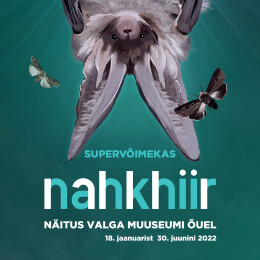Superv&otilde;imekas nahkhiir muuseumi &otilde;uel