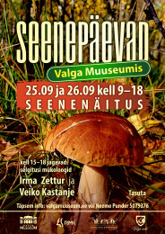Seenen&auml;itus Valga Muuseumis