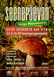 Seenep&auml;evad Valga Muuseumis